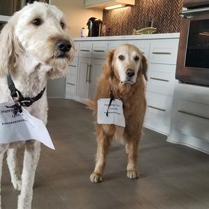 Meet your Posher, Nathan